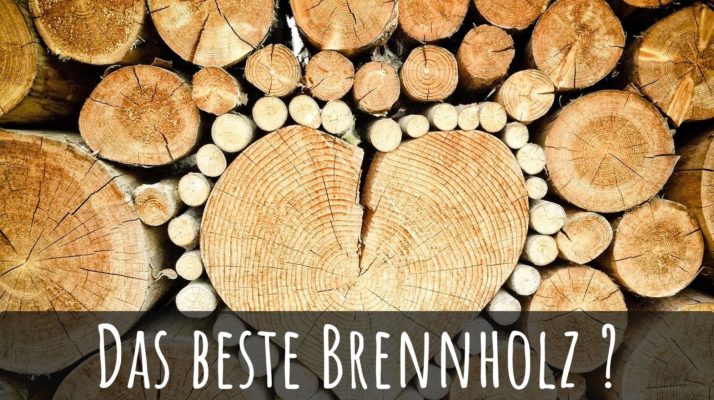 Das beste Brennholz? Ein Vergleich