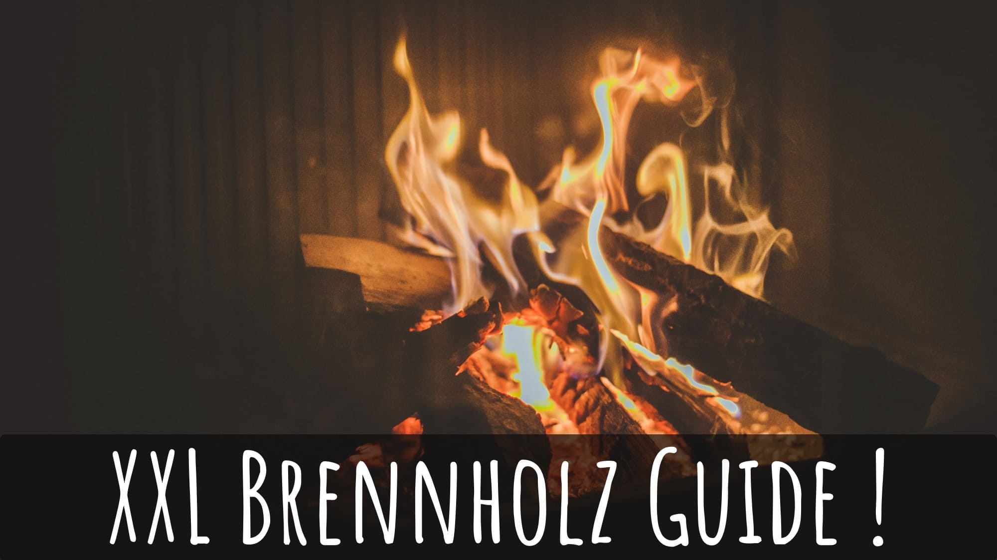 Harrys XXL Brennholz Guide 2025 [für Einsteiger]