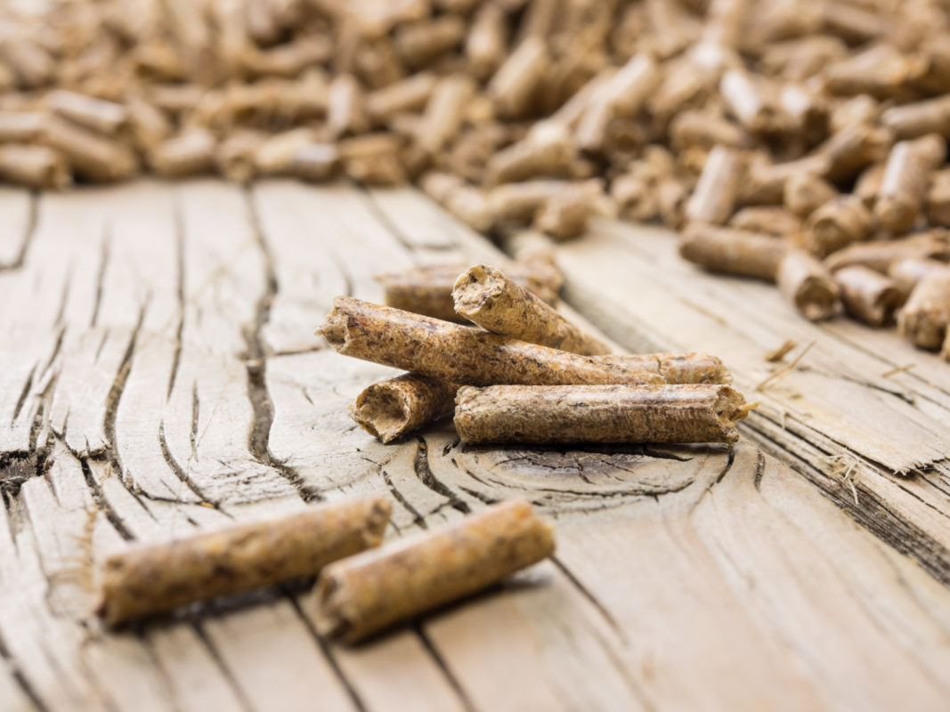 Holzpellets Nahaufnahme